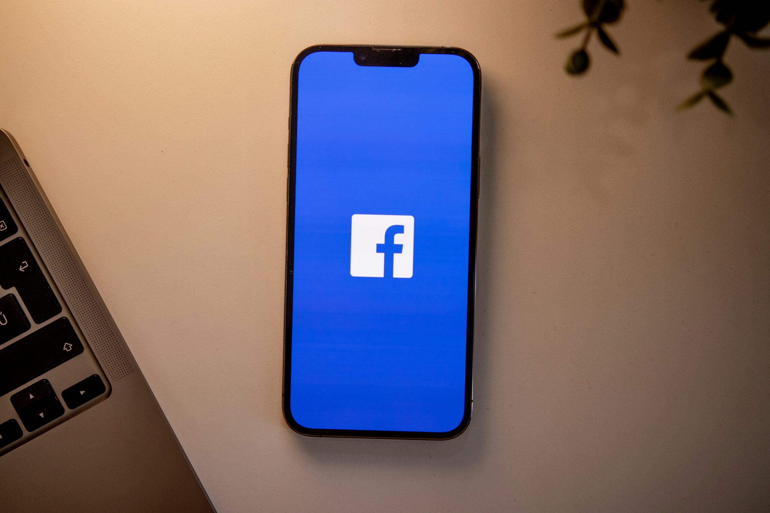 online marketing freelancer - social media ads